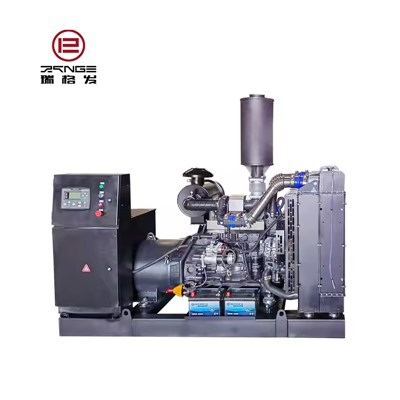 Dieselgenerator für Ricardo